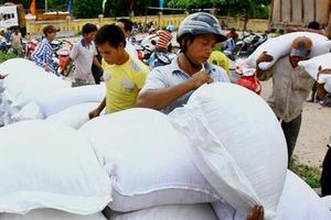 Hỗ trợ gạo cho tỉnh Cao Bằng