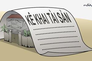 “Kê gian” tài sản, 8 cán bộ bị kỷ luật, 2 người khác đang xem xét xử lý