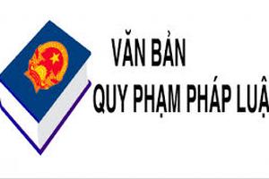 Công bố đầy đủ, chính xác kết quả rà soát, xử lý văn bản quy phạm pháp luật
