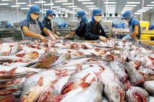 Tăng cường phân phối, tiêu thụ nội địa mặt hàng thủy sản