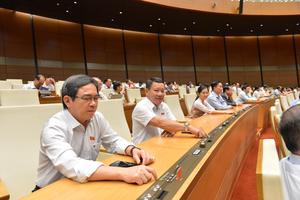 Quốc hội “chốt” hộ kinh doanh chưa “lên đời” doanh nghiệp