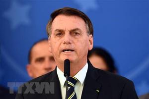 ''Phương thức quản lý của Việt Nam là hình mẫu cho Brazil học hỏi''