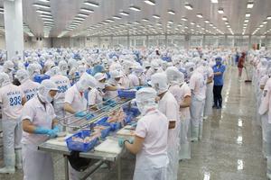 Kiến nghị tháo gỡ khó khăn cho doanh nghiệp chế biến thủy sản