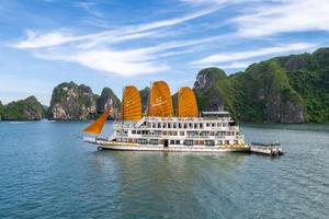 Đình chỉ tàu du lịch và thuyền trưởng do gian lận, trốn nộp phí tham quan