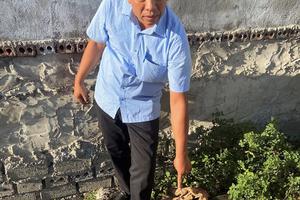 Nga Sơn (Thanh Hóa): Nhập nhèm trong việc giao đất trúng đấu giá?