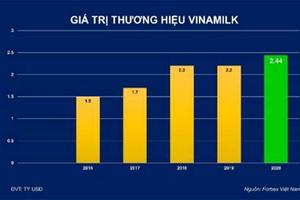 Được định giá trên 2,4 tỷ USD, Vinamilk chiếm 20% tổng giá trị của 50 thương hiệu dẫn đầu Việt Nam