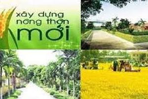 Lập Hội đồng thẩm định Báo cáo đề xuất chủ trương đầu tư xây dựng NTM