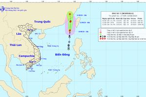 Áp thấp nhiệt đới mạnh thành bão số 3