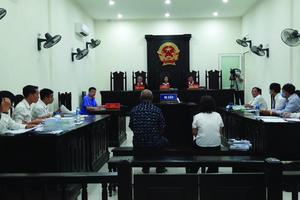 Đề nghị triệu tập Chủ tịch UBND huyện Ba Vì