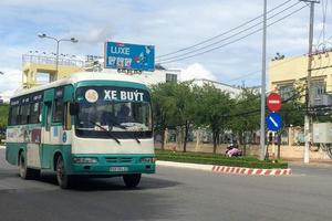 Cần Thơ: Hơn 100 xe buýt 5 sao chạy trong nội tỉnh