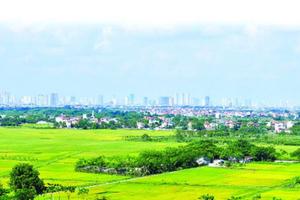 Chuyển mục đích sử dụng đất tại 2 tỉnh