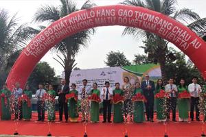 An Giang xuất khẩu 126 tấn gạo thơm sang Châu Âu theo Hiệp định EVFTA