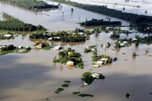 Năm 2020, ĐBSCL sẽ có mùa lũ thấp nhất trong vòng 10 năm qua 