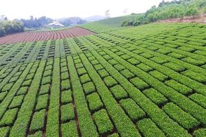 Tuyên Quang: Hiệu quả từ một Nghị quyết hợp lòng dân