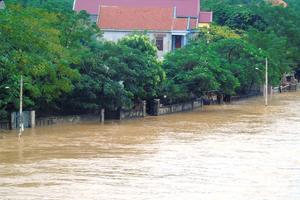 Chủ động ứng phó với áp thấp nhiệt đới và mưa lũ lớn