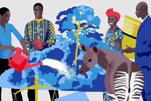 Để quỹ bảo vệ rừng an toàn khỏi tham nhũng