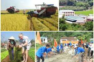 Tiếp tục hỗ trợ các xã, thôn hoàn thành mục tiêu Chương trình 135