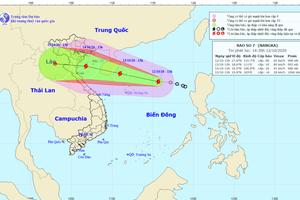 Bão số 7 xuất hiện trên Biển Đông, hướng về Bắc Bộ, Bắc Trung Bộ