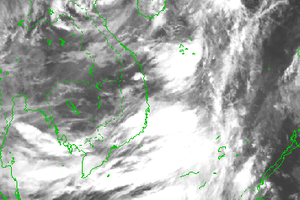 Cập nhật mới nhất về bão số 7