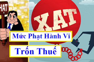 Trốn thuế sẽ bị phạt tiền từ 1 - 3 lần số thuế trốn