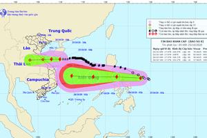 Đêm nay bão số 8 sẽ đi vào các tỉnh từ Hà Tĩnh đến Quảng Trị