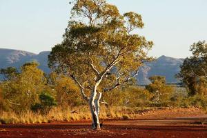 Minh bạch, trách nhiệm và tôn trọng - chìa khóa để bảo vệ di sản văn hóa