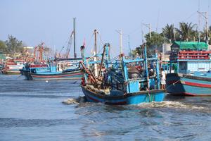 Nghiêm cấm tàu thuyền ra khơi
