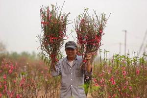 Nghỉ lễ năm 2021: Đề xuất nghỉ Tết Tân Sửu 7 ngày, Quốc khánh 4 ngày