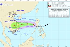 Bão số 10 giảm xuống cấp 8 giật cấp 10, cách Hoàng Sa 740km
