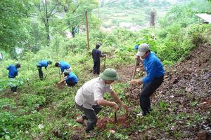 Chuyển mục đích sử dụng rừng để thực hiện dự án hồ chứa nước