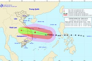 Chiều mai 5/11, bão số 10 có khả năng đi vùng biển từ Quảng Ngãi đến Khánh Hòa