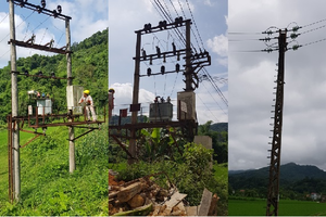 Nỗ lực từng bước xoá bỏ cấp điện áp 10kV