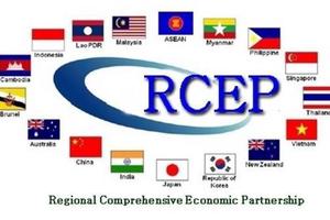 Những ngành nào sẽ là thế mạnh của Việt Nam trong Hiệp định RCEP?