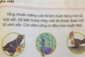 Tiếng Việt 1 Bộ “Kết nối tri thức với cuộc sống”: Nhiều ngữ liệu phản cảm