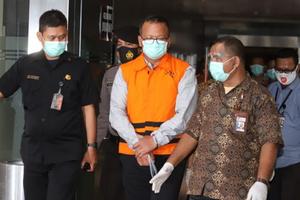 Indonesia tạm dừng xuất khẩu tôm hùm giống sau khi Bộ trưởng bị bắt
