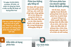 Từ ngày 11/1/2021, người dân được đốt những loại pháo hoa nào?