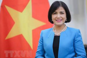 Việt Nam thúc đẩy ASEAN tham gia tích cực tại các tổ chức quốc tế