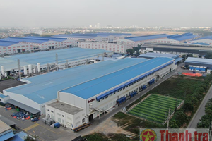 Vi phạm lớn xảy ra, trách nhiệm quản lý ở đâu?