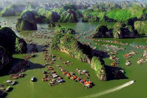 Xử lý nghiêm vi phạm tại Vườn Quốc gia Cát Bà