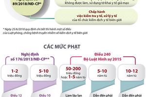 Mức phạt do khai báo y tế về kiểm dịch không trung thực