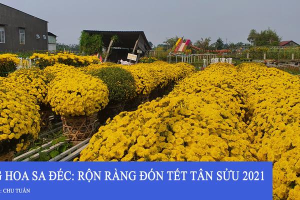 Đồng Tháp: Làng hoa Sa Đéc rộn ràng sắc xuân