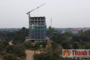 Đề nghị xử lý dứt điểm vi phạm quy mô lớn tại thị xã Sơn Tây