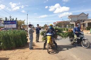 Giá hoa lay ơn tăng đột biến sau những ngày “ảm đạm”

