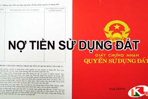 Hộ gia đình, cá nhân nợ tiền sử dụng đất trong “sổ đỏ” nên thanh toán trước ngày 28/2/2021