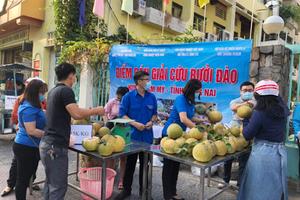 Hỗ trợ liên kết tìm đầu ra cho nông sản