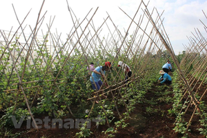 CPI tháng Hai tăng 1,52% và đạt mức cao nhất trong 8 năm qua
