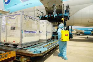 Vắc xin COVID-19 được bảo quản, phân phối và sử dụng như thế nào?