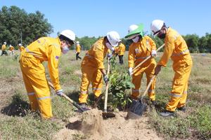 Công ty Vận chuyển Khí Đông Nam Bộ vượt chỉ tiêu kế hoạch trồng cây 