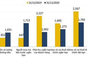 Năm 2020: Tổng tài sản VPI đạt 9,7 ngàn tỷ, tăng 8% so với 2019