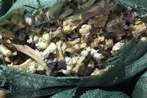 Quảng Ninh phát hiện, thu giữ 4,5 tấn xương chân gà